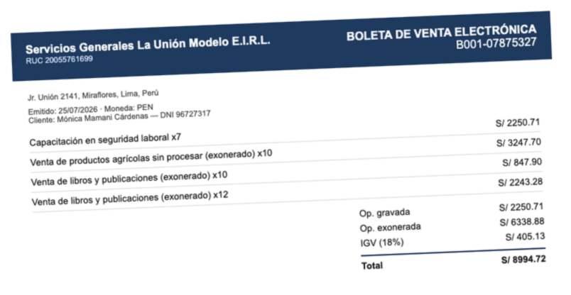 Comprobante ficticio doc-002, versión escaneada usada en la pista de visión